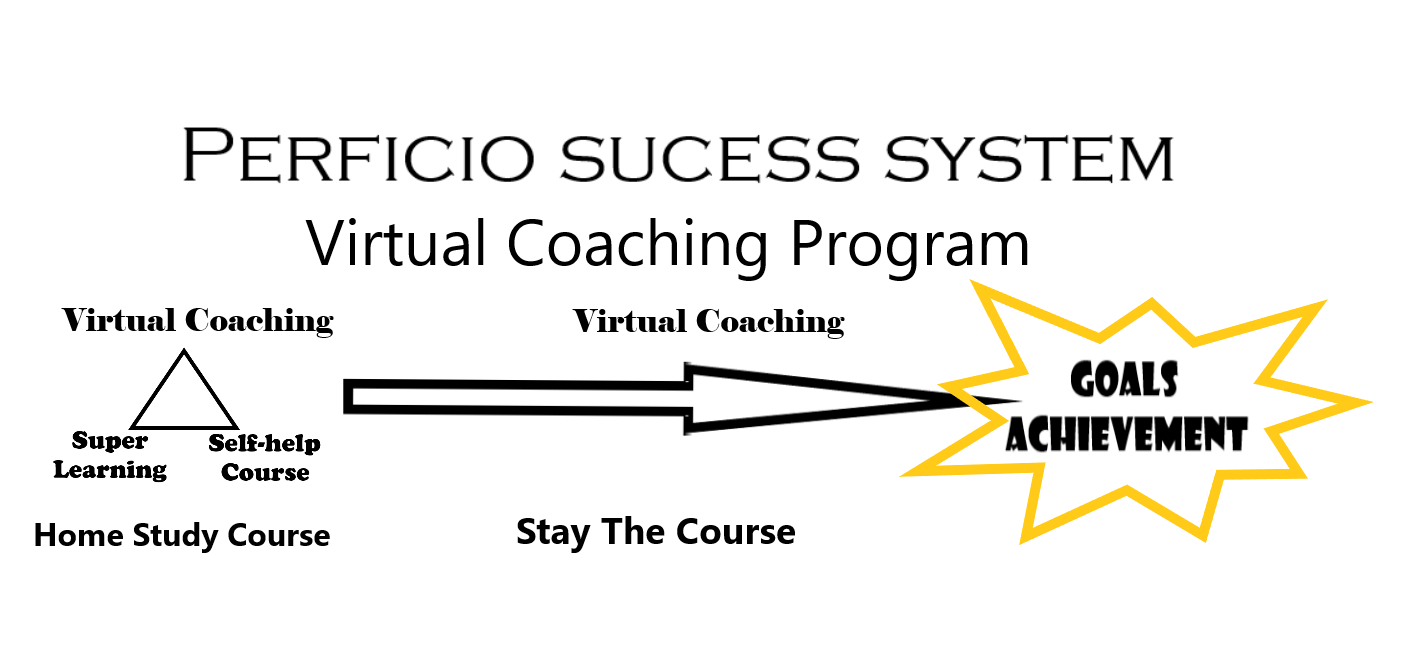 the success system (1)